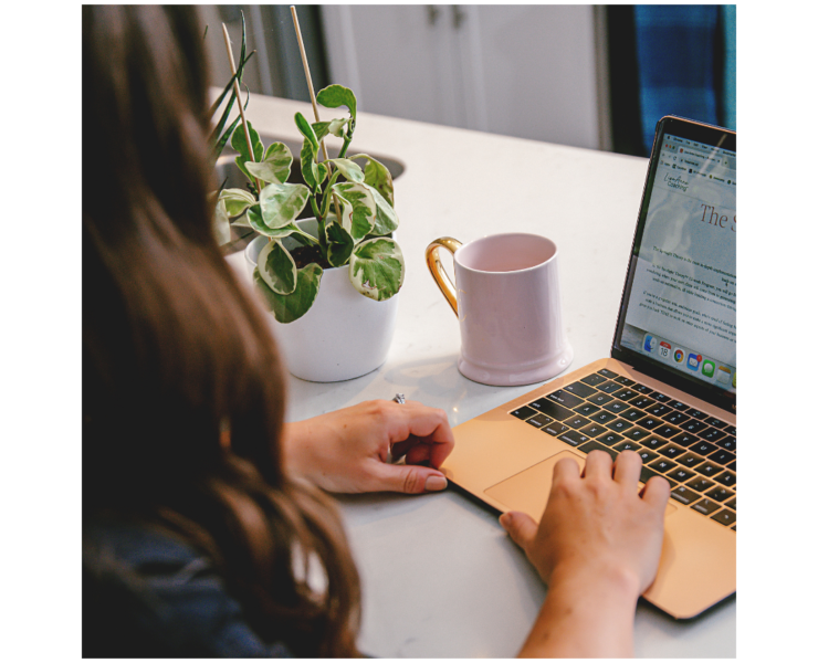 websites vs sales funnels