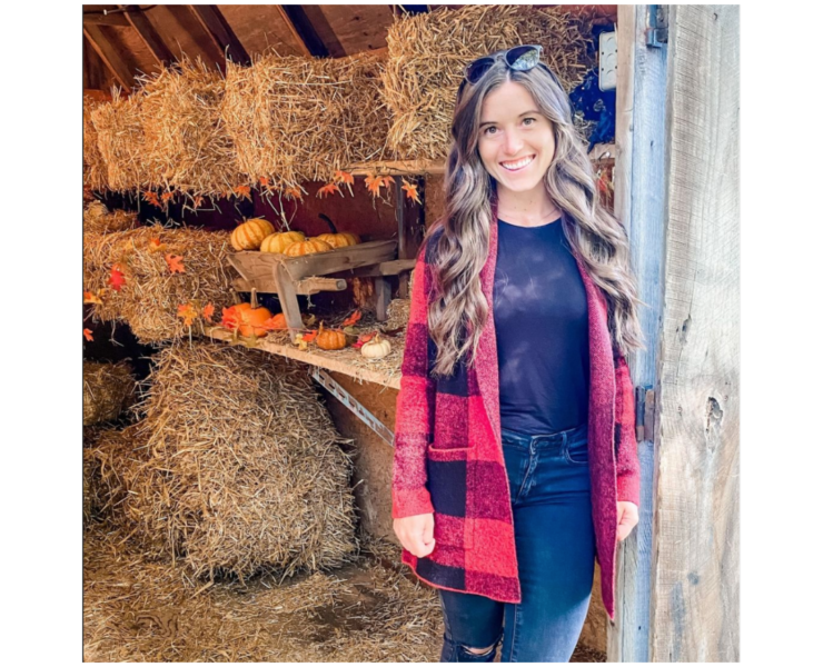 How to Schedule Content