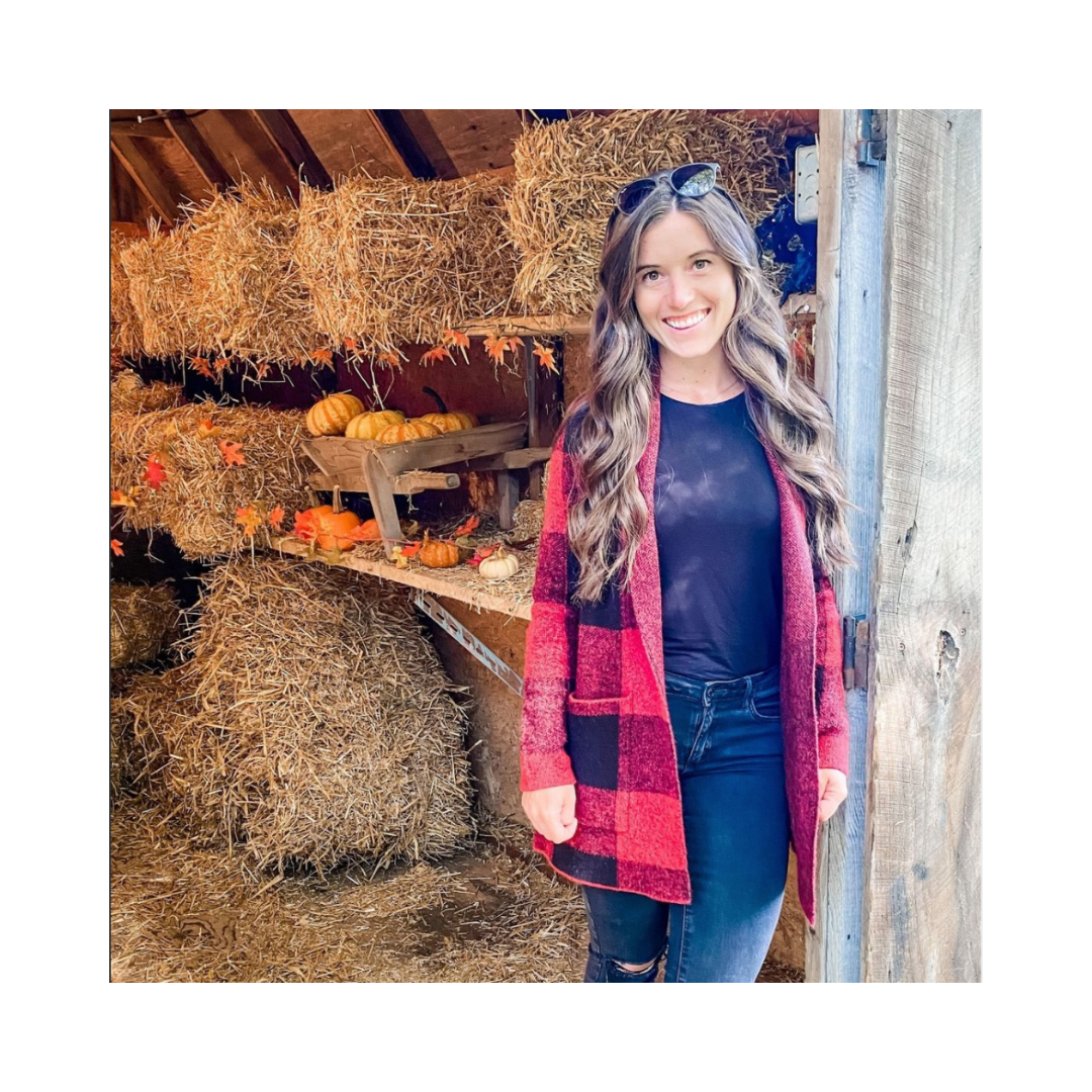 How to Schedule Content